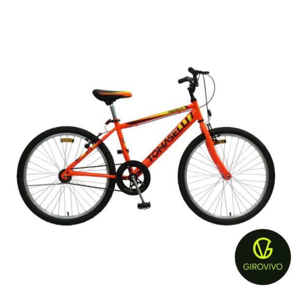 BICICLETA TOMASELLI RIDER R24 VARON - Imagen 3