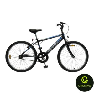 BICICLETA TOMASELLI RIDER R24 VARON
