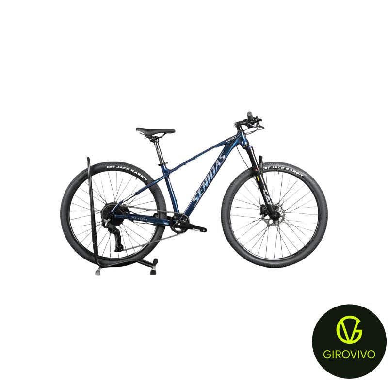 BICICLETA SENIDAS R29 MONOPLATO