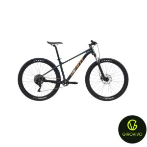 TALON 29 2 2025