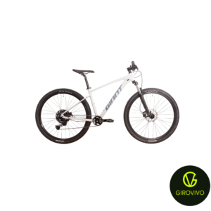 TALON 29 3 C10 (GOOD GREY, L, 2024) (CUES)