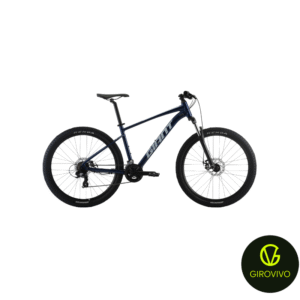 TALON 29 5 (METALLIC NAVY, L, 2022)