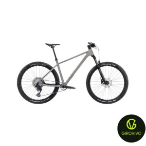 BICICLETA NEWTON ROWER