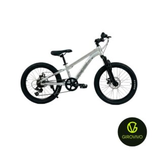 BICICLETA INFANTIL R20 SOMORINI